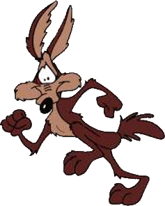Wile.E Coyote Looking Confused