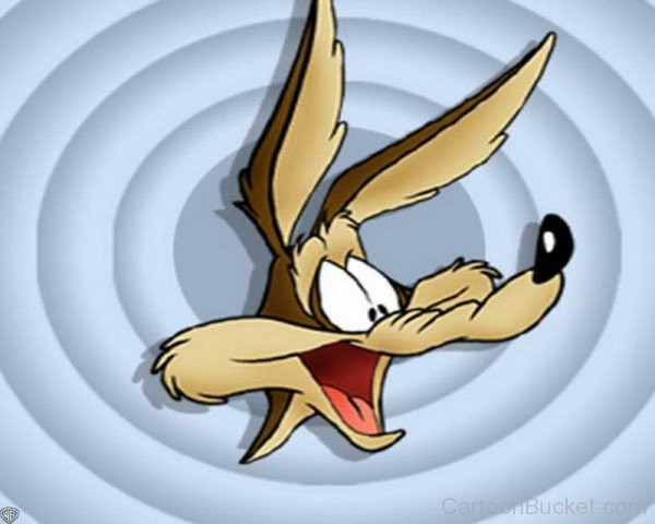 Wile.E Coyote Looking Happy