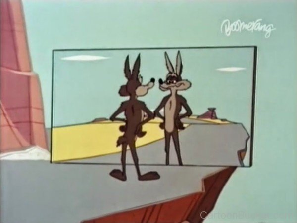 Wile.E Coyote Looking Him In Mirror