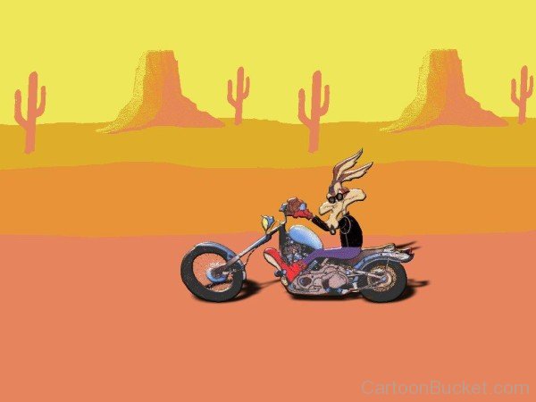 Wile.E Coyote Riding Bike