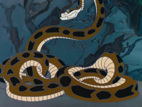 Animated Picture Of Kaa
