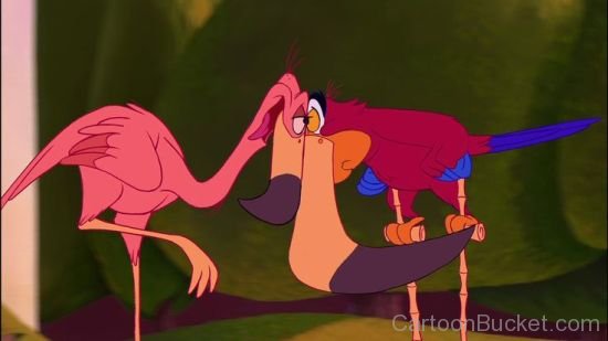 Iago And Flamingo Looking Eachother