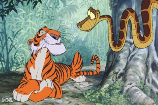 Kaa With Shere Khan