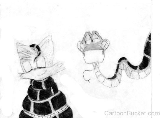 Pencil Sketch Of Kaa And Tails