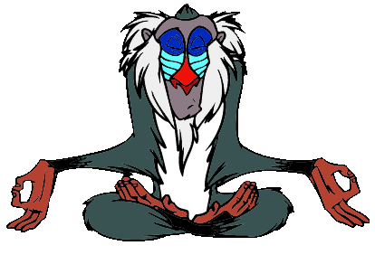 Rafiki Doing Meditation