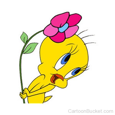 Tweety Holding Flower