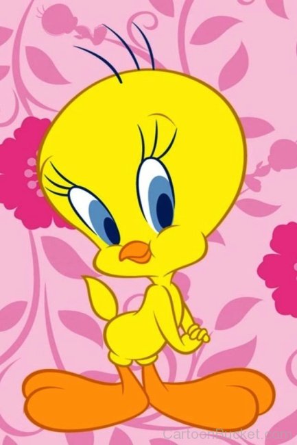 Tweety Picture