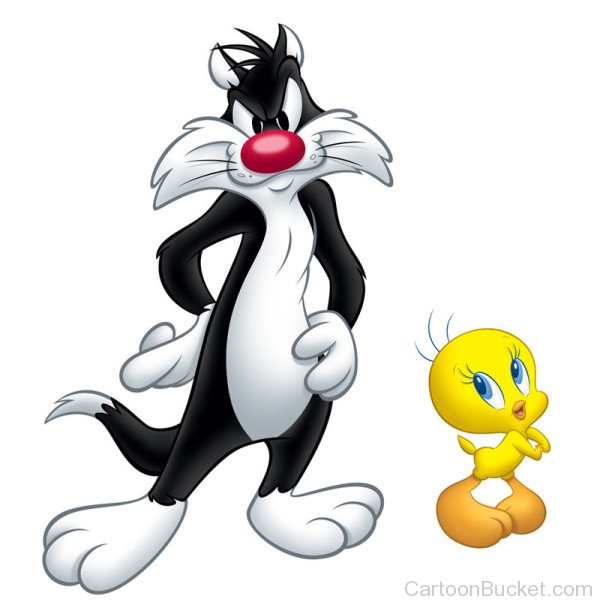 Tweety With Sylvester