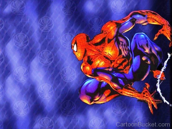 Photo Of Spiderman-ty604