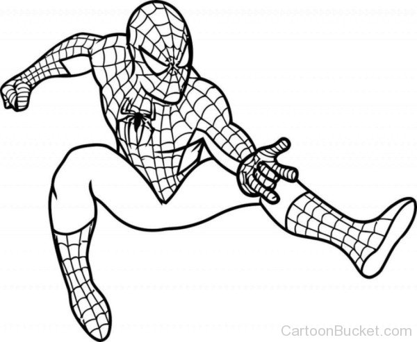 Sketch Of Spiderman-ty606
