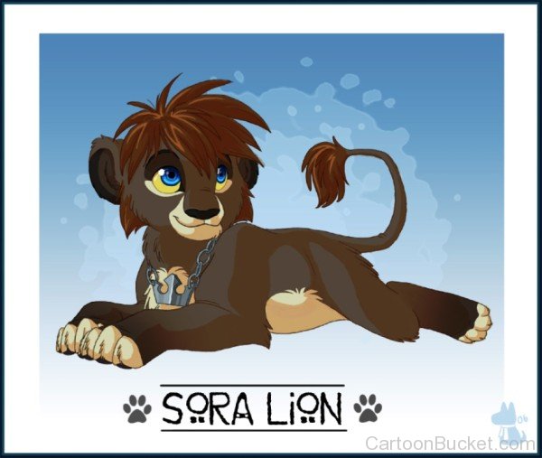 Sora Lion-qw122