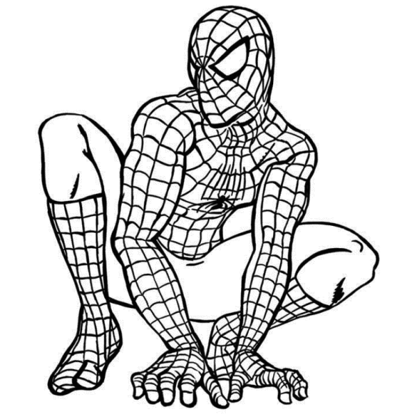 Spiderman Sketch-ty622