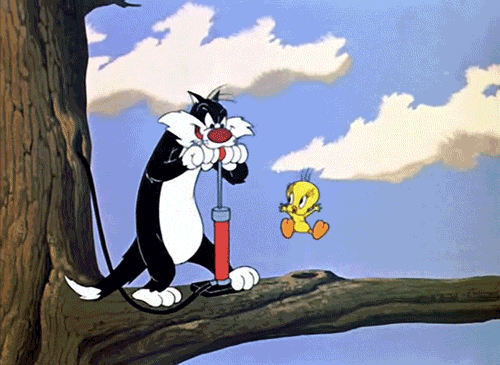 Sylvester And Tweety Animated Image-fd440