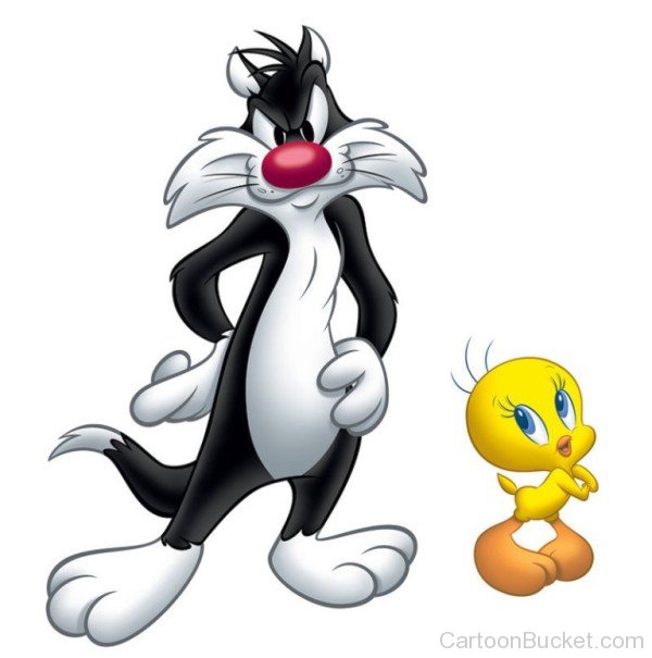 Sylvester With Tweety-fd436