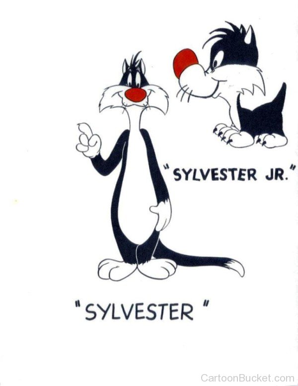 Sylvester-fd438