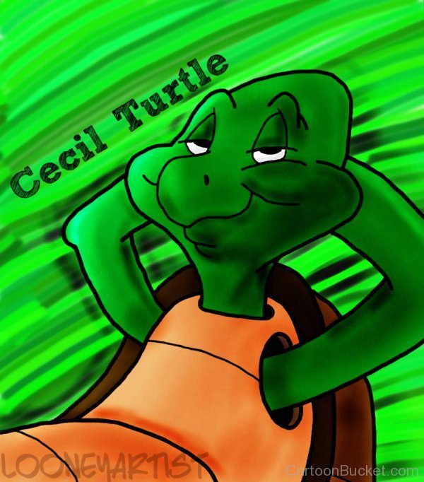 Cecil Turtle Pictures, Images