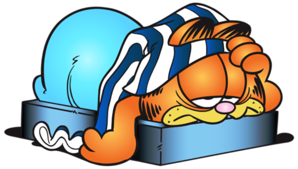 Garfield Nesty