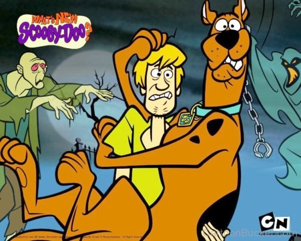 Scooby Doo And Shagy Shocked Mood