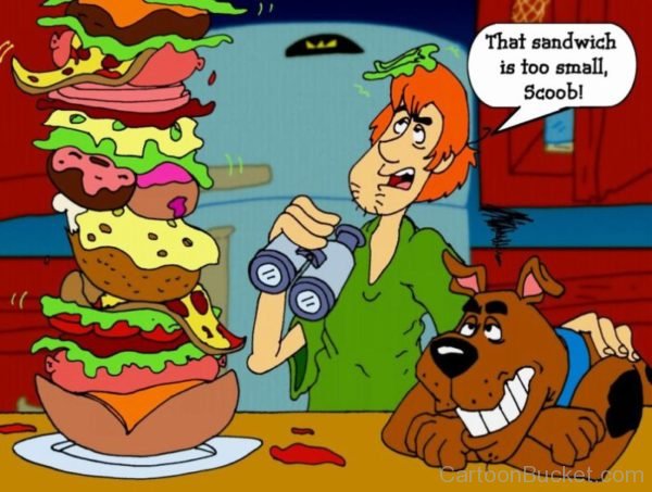 Thats Sandwich Is Too Small Scoob