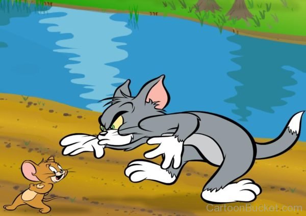 Tom And Jerry Image
